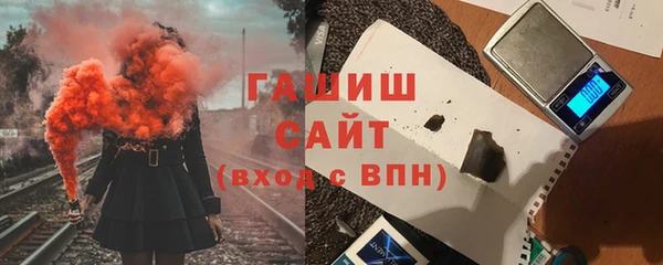 индика Абаза