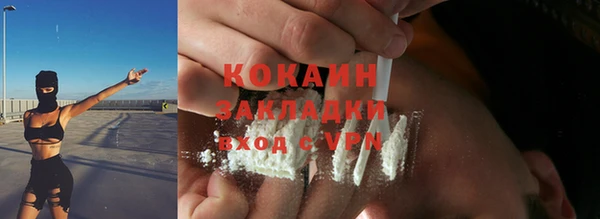 индика Абаза