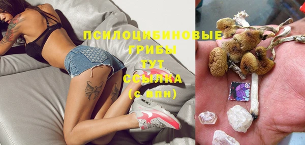 эйфоретик Сатка