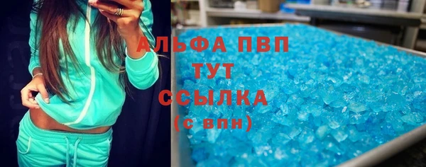 индика Абаза